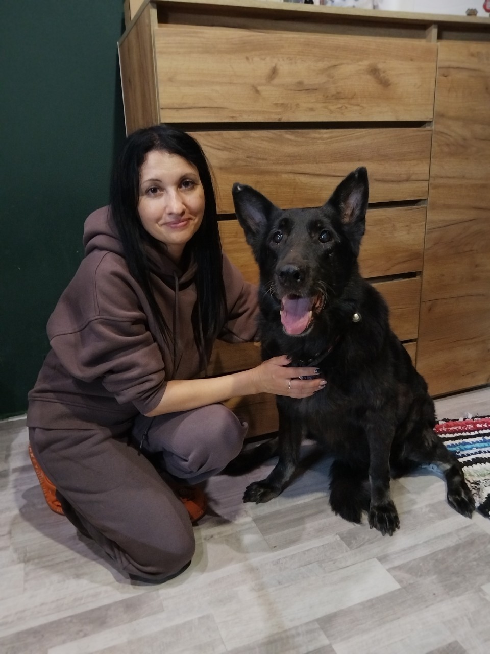 Однажды, очень давно, я впервые зашла на страницу Марго [@Queen_Margo ](rn-looky://navigate/profile/9bacb996-a6de-470a-8a86-6bf6f3ccc2d6). Просто листала ленту, но вдруг моё сердце замерло: я увидела её собаку Веню. Этот ролик, где Веня так преданно и умно смотрит на хозяйку, запал мне в душу. Я пересматривала его снова и снова, не в силах оторваться.

В тот момент я не просто увидела собаку — я почувствовала у них  невероятную связь. Помню как Марго говорит: «Веня, принеси мне пульт», «найди ключи» — и эта удивительная  девочка тут же выполняет просьбу. Это было настолько трогательно, что у меня на глаза навернулись слёзы. Я и сама не понимала, почему, но эта умница вызвала во мне такой трепет и глубокое уважение, что даже сейчас, когда я пишу этот пост, глаза снова на мокром месте.

Когда мы собрались ехать гулять в Тобольск, я вдруг осознала: моя маленькая мечта может сбыться! Я смогу увидеть эту потрясающую девочку воочию. Честно говоря, я не могла дождаться этой встречи.  Даже немного волновалась: а вдруг её собаки меня не примут? Так не хотелось, чтобы меня облаяли! 🤣

Но когда мы зашли в квартиру, все мои страхи тут же улетучились. Ни одна собака не тявкнула! Они оказались невероятно воспитанными, дружелюбными и такими красивыми — каждый по-своему. Веня сразу выделялась: она оказалась большой и немного грозной на вид, но такой же ласковой и доброй, как вся стая.

А якуты Камаз и Мастер — это просто нечто невероятное! Большие, воздушные облачка шерсти. Они такие милые и трогательные 🥰, что просто покорили моё сердце. Камаз — ещё и настоящий красавчик: ему бы дреды — и вылитый пират Карибского моря! А какой у него голос — низкий, брутальный... Я просто кайфую! Зато у Мастера такая нежная шерсть-пух, что хочется гладить его всю жизнь.

Давид — это  мини-человек! Его так и хочется носить на ручках, наряжать и, кажется, даже катать в коляске 🤣.  А он будет  кайфовать. Глядя на него, я подумала: в детстве я бы точно не отказалась от такого пёсика.

Базу — серьёзный, крепенький мужичок с ноготок. Бородатенький, дружелюбный, но если не обращать на него внимания — он без обид уйдёт заниматься своими делами.