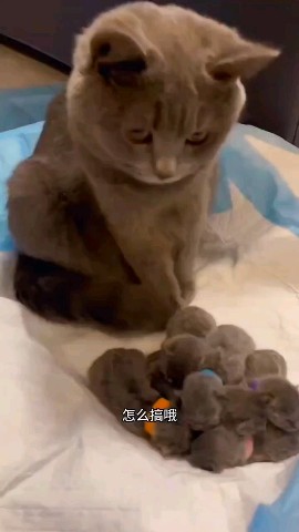 SllashFllow в LOOKY. . Ничего милее вы сего...