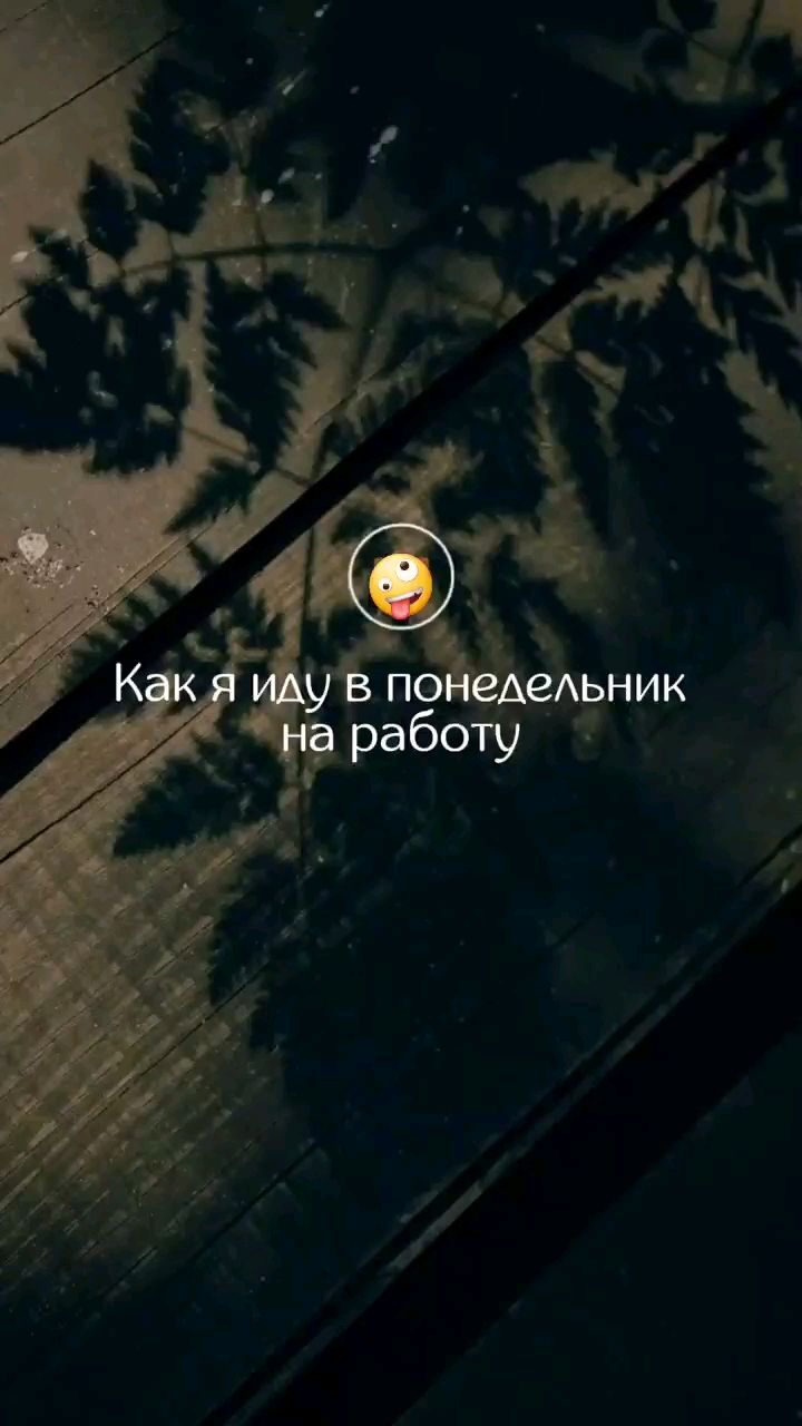 Svet_ya_ в LOOKY — 😜Понедельник — это день, когда даже ваш кофе нуждается в со