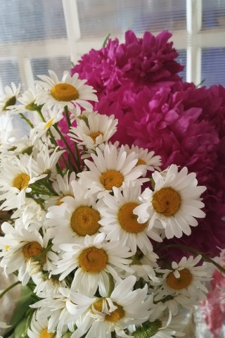 maria_markina102 в LOOKY. . 