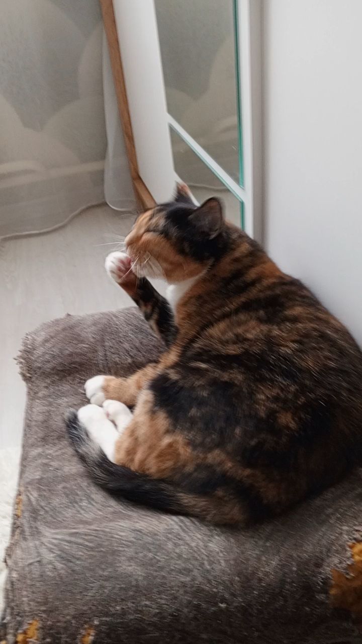 Сладкий Лис in LOOKY. . 