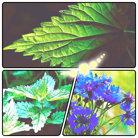 Looky_1678392850929 в LOOKY. . 