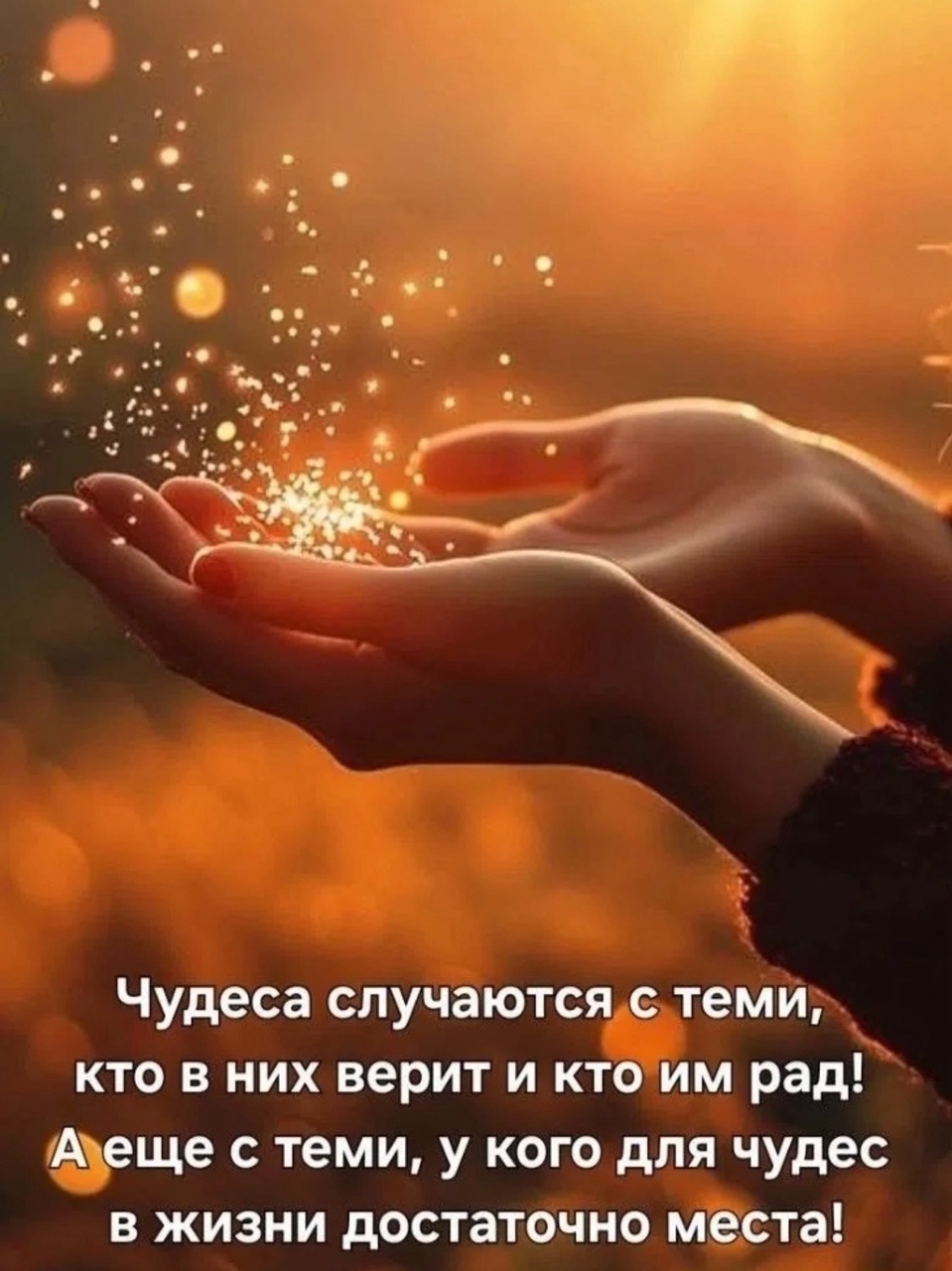 Медицинская студия ФЕНИКС в LOOKY — публикация