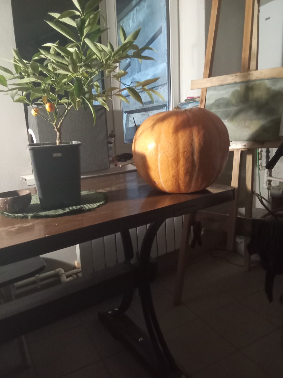 Евгений в LOOKY. . Карета для Золушки