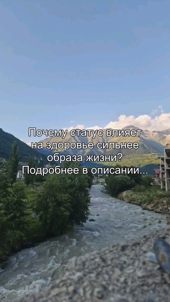 Oleg_teem в LOOKY. #статус,#здоровье,#стресс,#психология,#долголетие. Ты думаешь, что здор...