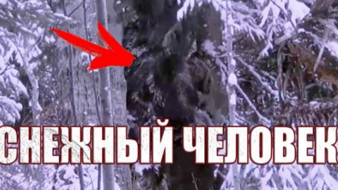 Looky_1693363064630 в LOOKY. #йети,#снежный. Мужчина в Канаде зап...