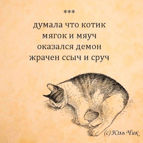 Папкова Марина - психолог в LOOKY. #Тревел_SPLAT. #Тревел_SPLAT