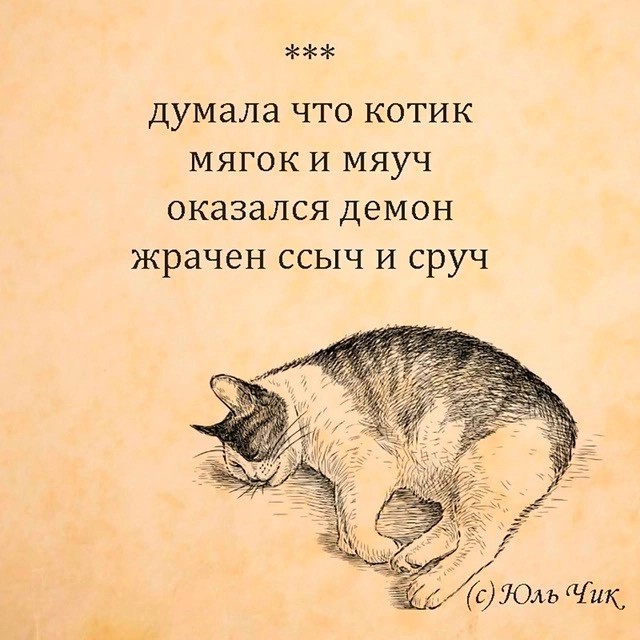 #Тревел_SPLAT