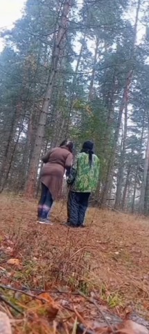 Looky_1699357171769 в LOOKY. #дерево,#бабка,#юмор,#кино,#косплей,#прикол. Бабка бежит за Дерев...