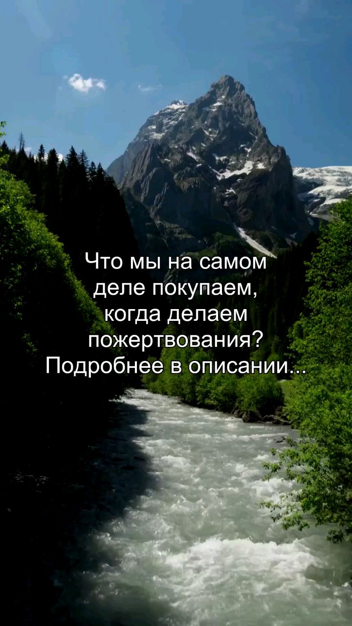 Looky_178527301114425 в LOOKY. #пожертвование,#мотивы,#статус,#психология,#осознанность. Ты делаешь пожертвов...