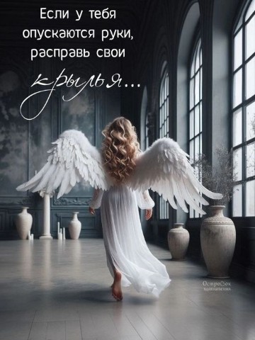Looky_174802264189788 в LOOKY. . 