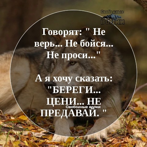 Looky_1695643157649 в LOOKY. . 