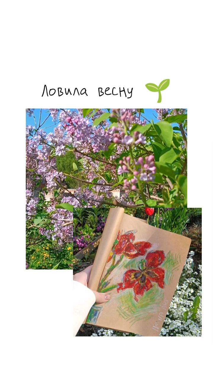 IRINA. P. ART в LOOKY. #итогимесяца,#май2026,#весна2026,#Козельск,#деревня,#наброски,#прогулка,#spring2026,#may2026,#naturephotography. Майские итоги🌸
В эт...