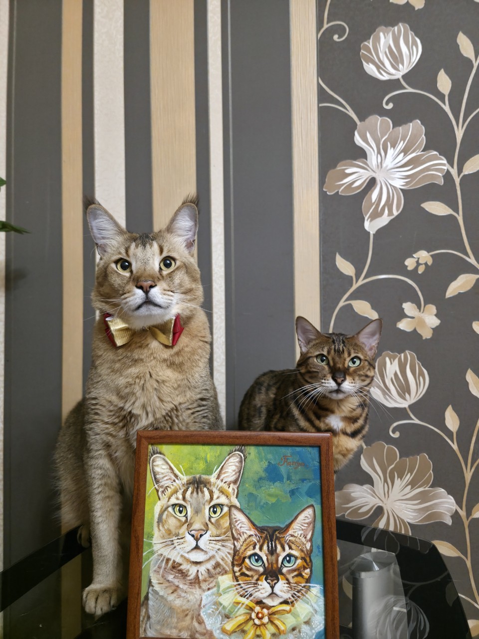 afina_zeus в LOOKY. #artist,#портретмасло,#рисование,#картина,#чаузиф2,#chausief2,#большиекошки,#красивыекошки,#редкиекошки,#гибридныекошки,#люблюкошек,#бенгалы,#бенгальскаякошка,#любимецсемьи,#котикиправятмиром,#looky,#looky_official,#looky_art,#looky_кошки,#looky_контент
[#лайки. Приветик друзья!
Это...