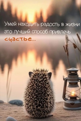 timyr.aleksandrov.78 в LOOKY. . 