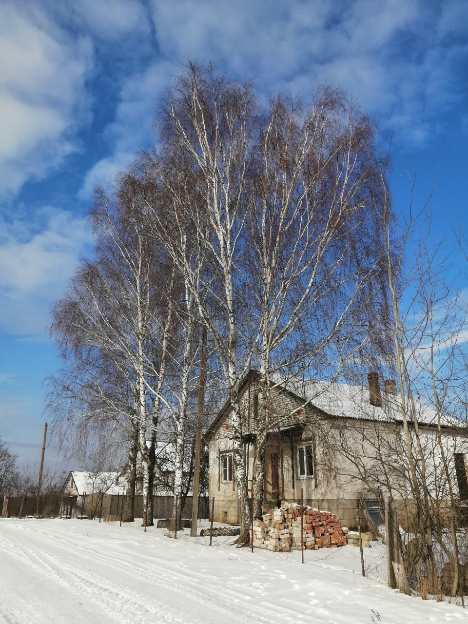lana_3116 в LOOKY — публикация