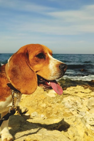 utoch_ka в LOOKY. . 