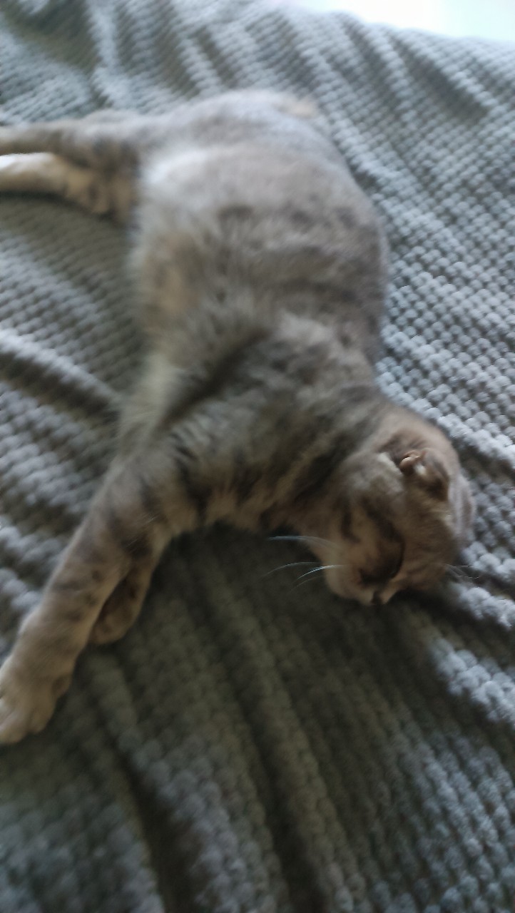 Корнева Марина in LOOKY. . Наша беременяшка🥰😍...