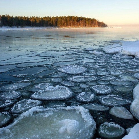 martynov4005 в LOOKY. . 