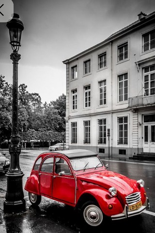 Looky_174264734316746 в LOOKY. . 