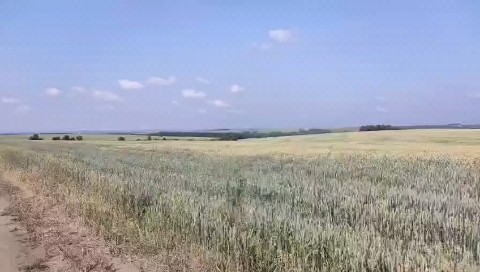 FollowTheWhiteRabbit71 in LOOKY. . Красивый вид, не так...