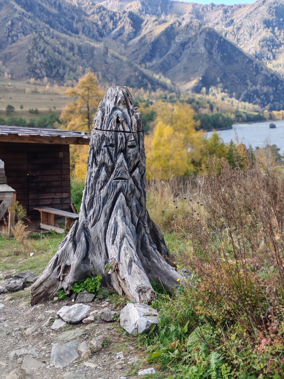 Vikilife в LOOKY — фото 5