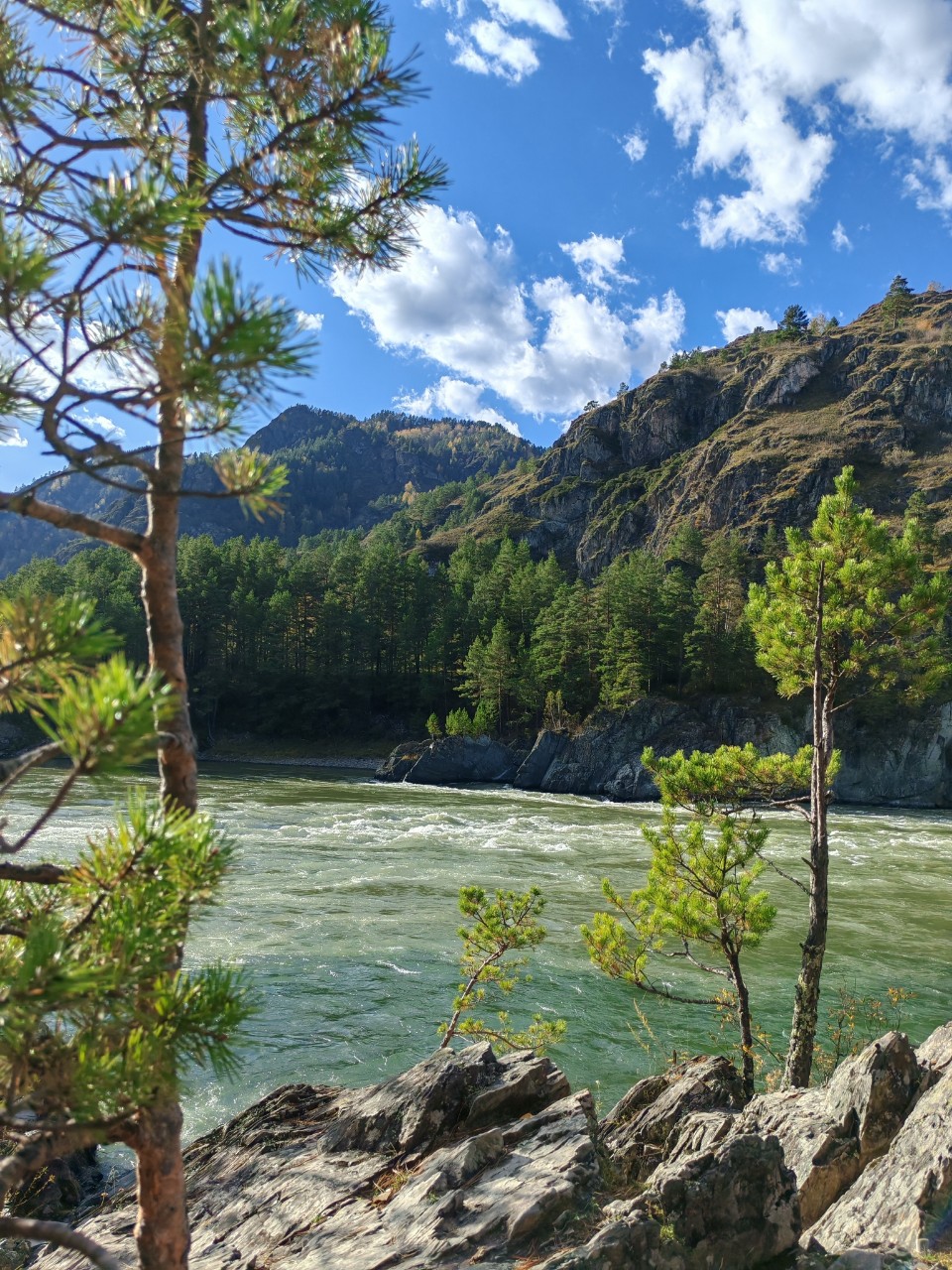 Vikilife в LOOKY — фото 4