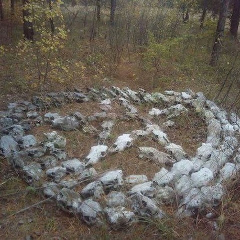 Бабка-Ежка Анна Воробьева в LOOKY. . Пента из черепов, на...