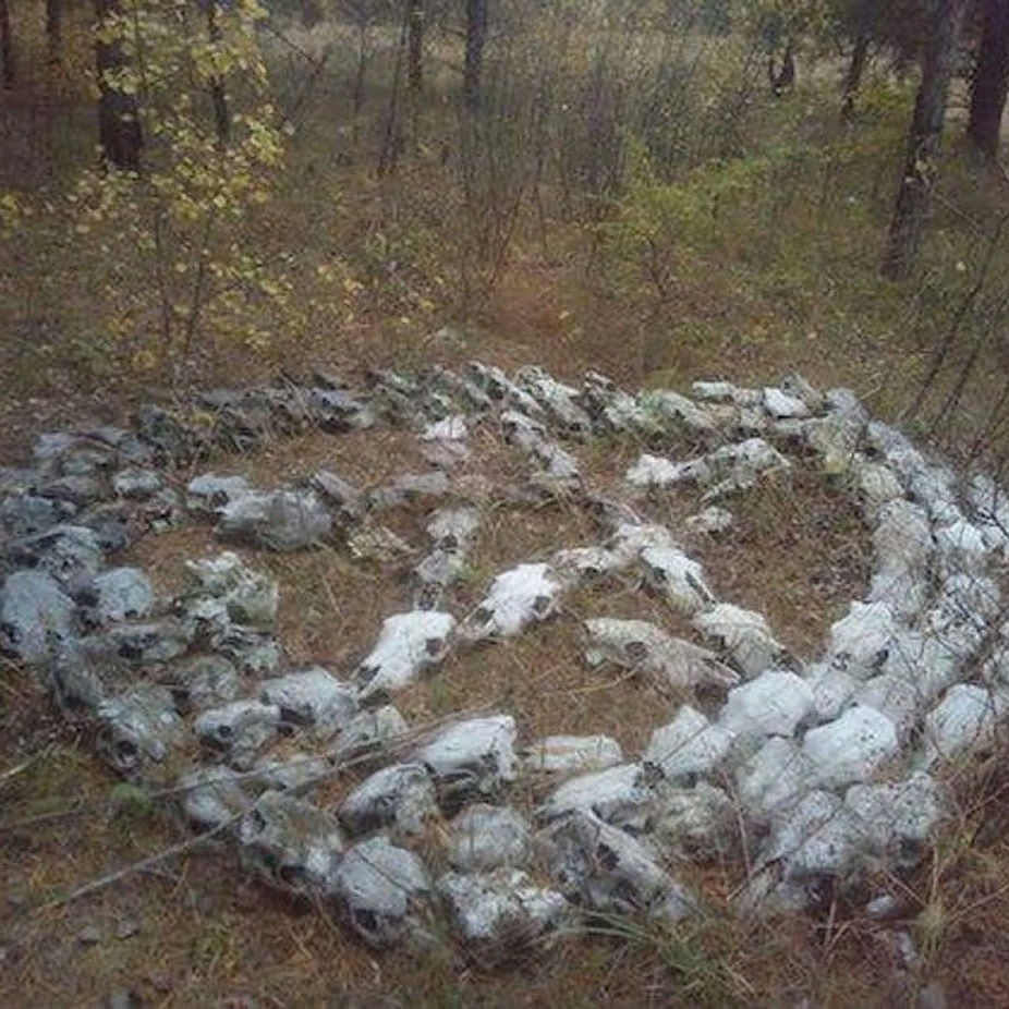 Looky_1678386713760 в LOOKY — Пента из черепов, найдена в Тольятти в прошлом году👽👻🎃