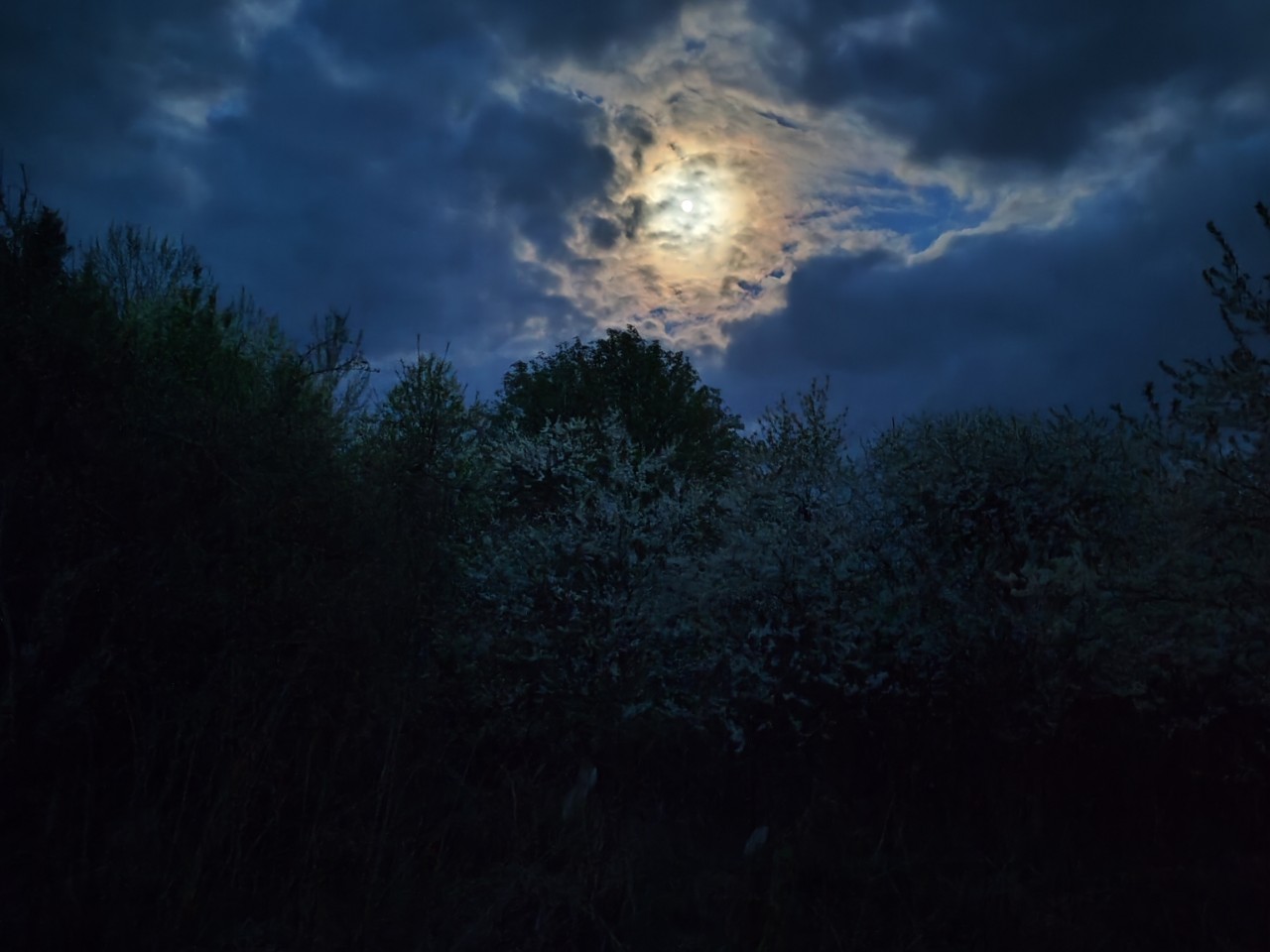 Kamenka в LOOKY — фото 5