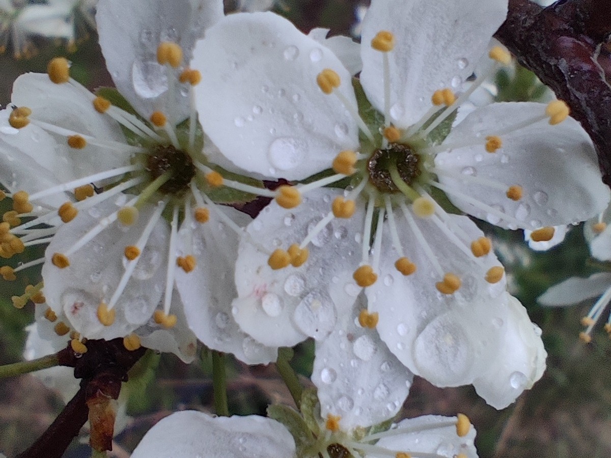 Kamenka в LOOKY — фото 2