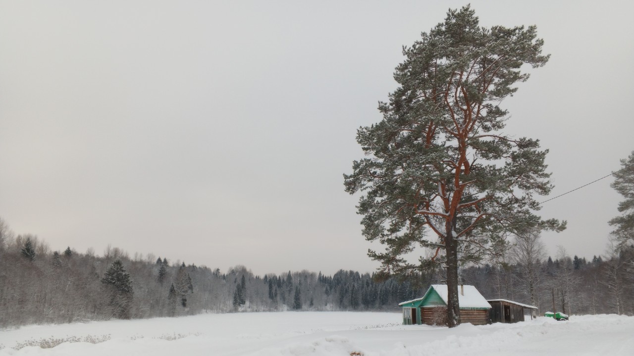 Looky_1701387505704 в LOOKY — [#фэнтези_путешествие](фэнтези_путешествие) [#ржд](ржд) [#рж