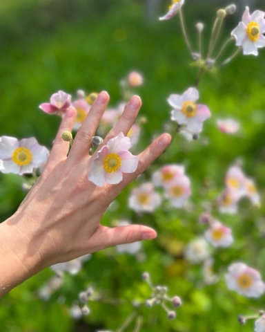 Camomile в LOOKY. . 