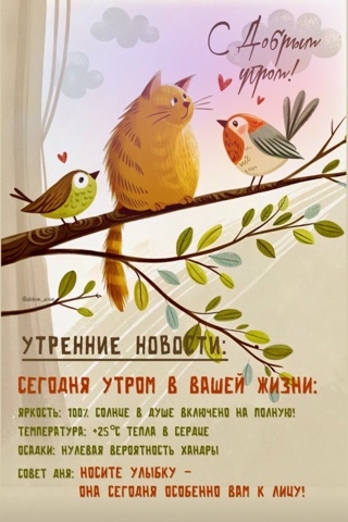 Looky_174671900592932 в LOOKY. #☀️#💚#. #☀️#💚#