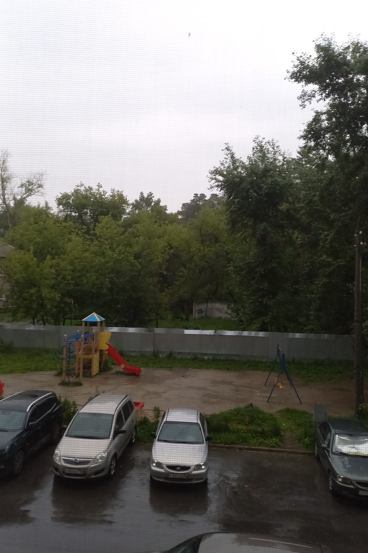 ой дикий тигр в LOOKY — Когда живёшь в популярном городе но в  неудачном месте