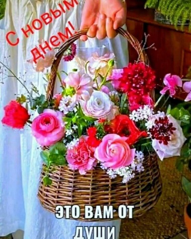 Looky_1670846284102 в LOOKY. . 