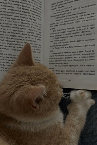 Книжная полка в LOOKY. #хвостатый_друг. #хвостатый_друг 
Чит...