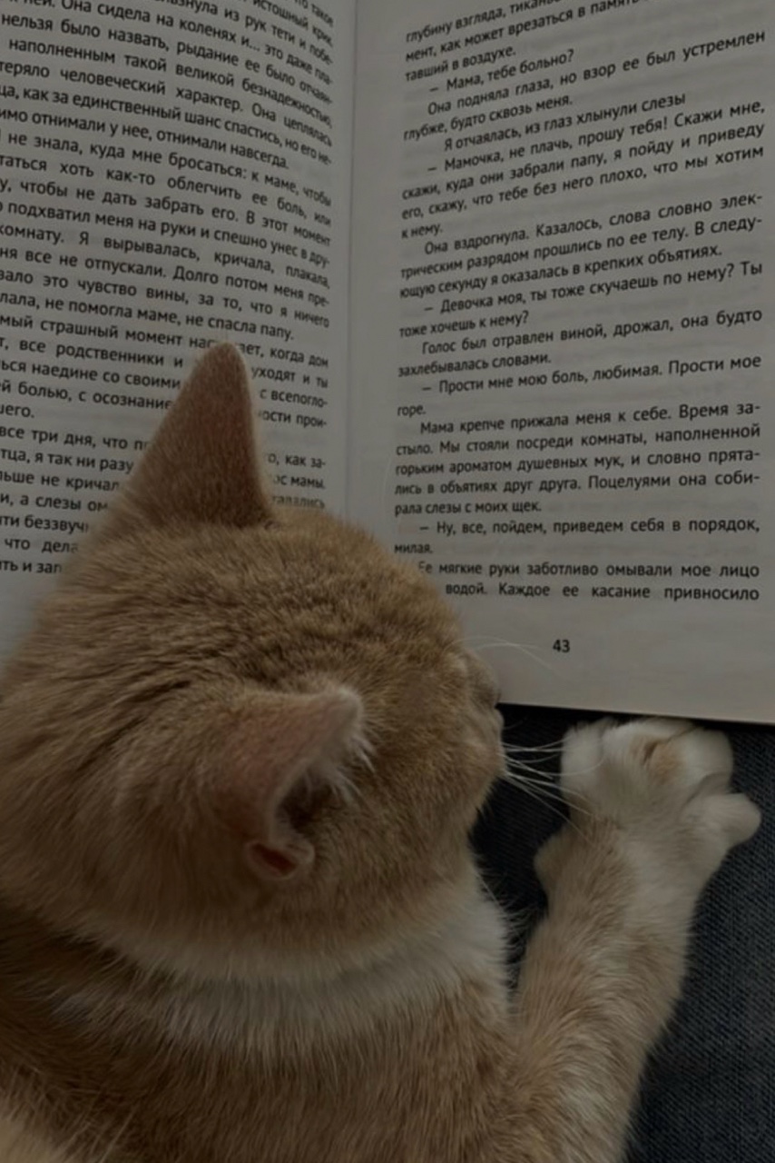 #хвостатый_друг 
Читают все 📚