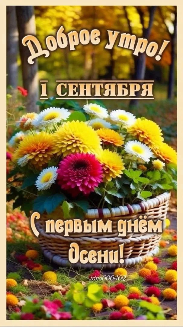 Looky_177821726465292