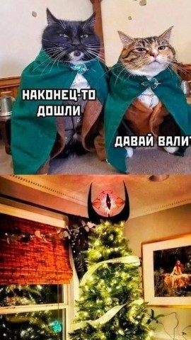 PetsStalkerS в LOOKY. #котики,#новыйгод,#елки. Ох уж эти котики и о...