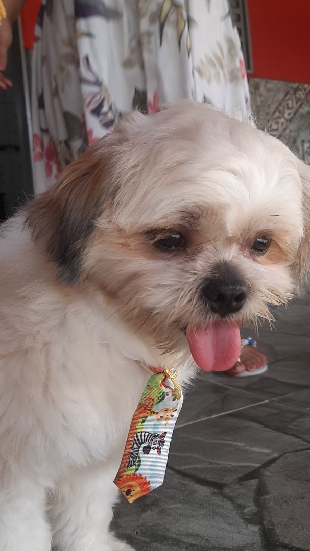 rakelly_oliver in LOOKY. . my sweetie billy