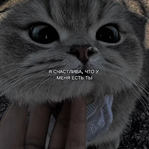Лунный Ветер в LOOKY — публикация