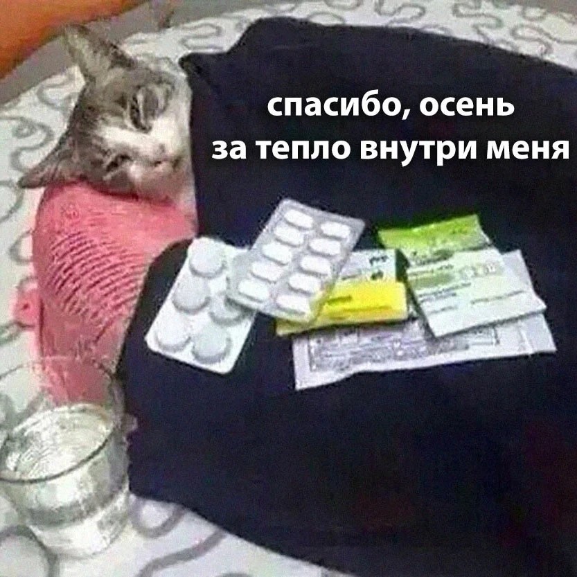 МММ осень