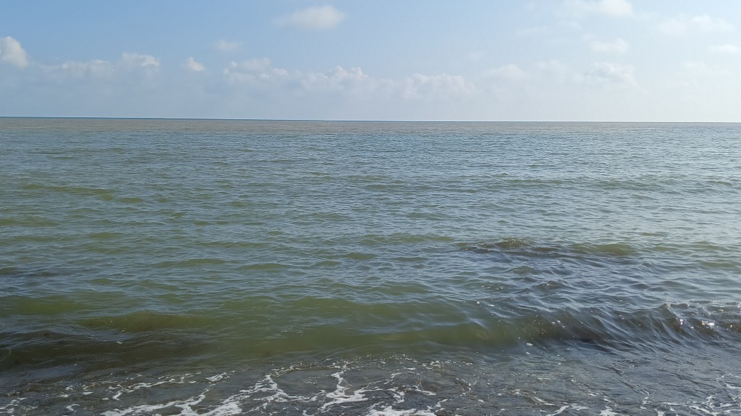 Хорошего дня☀

[#море](море) [#sea](sea) [#nature](nature) [#naturephotography](naturephotography) [#природа](природа) [#природапрекрасна](природапрекрасна) [#кубань](кубань) [#краснодарскийкрай](краснодарскийкрай) [#курорт](курорт) 
