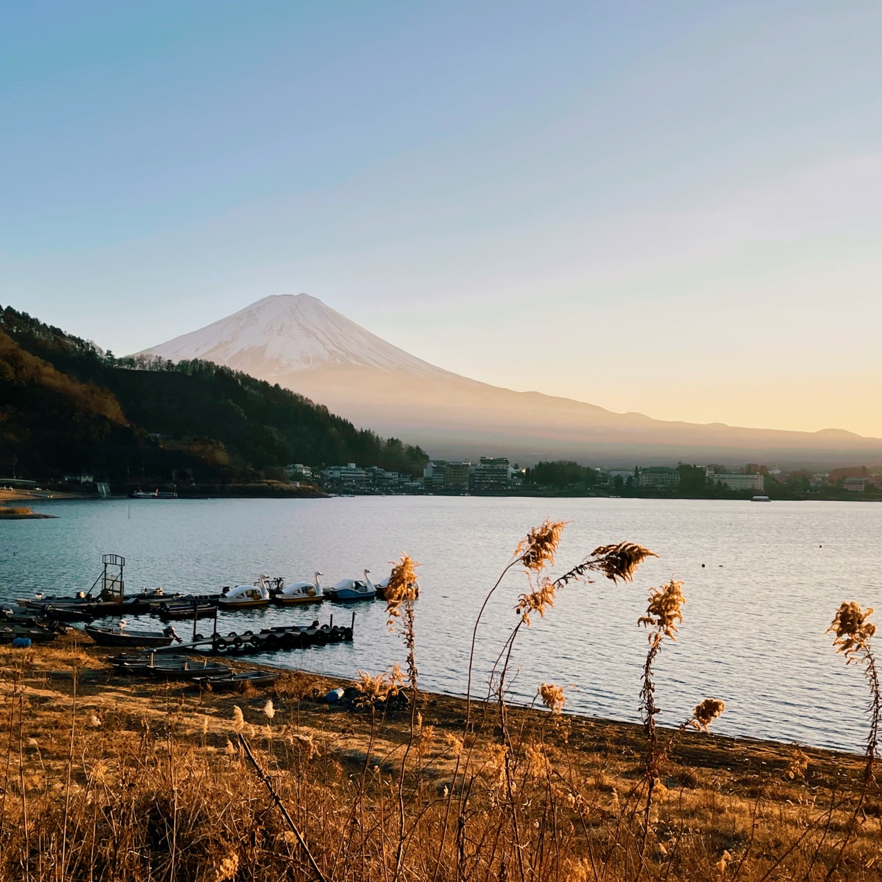 Озеро Кавагучи 🇯🇵