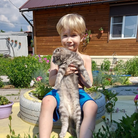 Мусиндра в LOOKY. #муся. #муся
Мусю любят все...