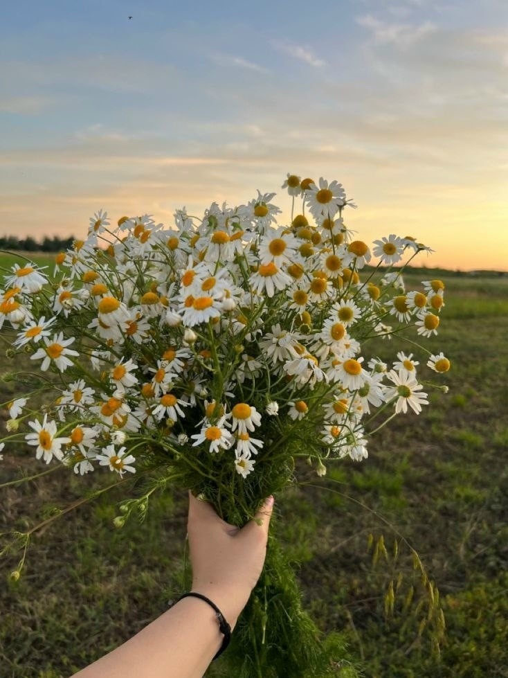 фото ксения в LOOKY — Самое главное — это желание жить. 
 
Радоваться солнечному л