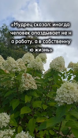 Tatiana Ubushaeva в LOOKY — публикация