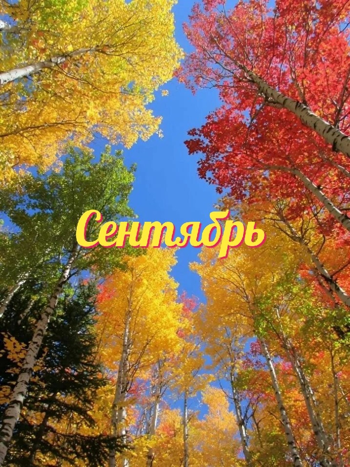  в LOOKY — Общий нумерологический фон сентября 2026 года🍂

Число месяц