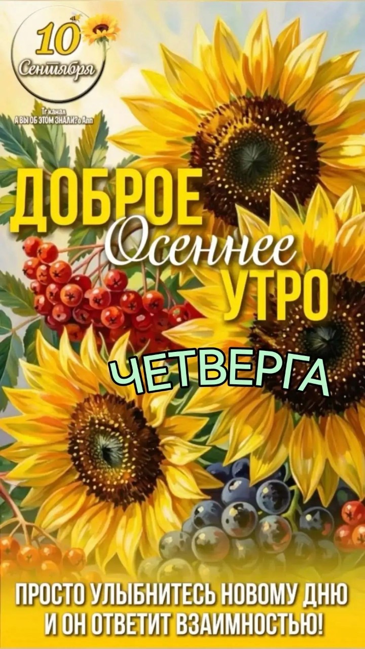 телец в LOOKY — Мирного утра мирного дня...
---
Осень  нежно  в  бокалы  пле